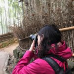 En el Bosque de Bambú de Arashiyama