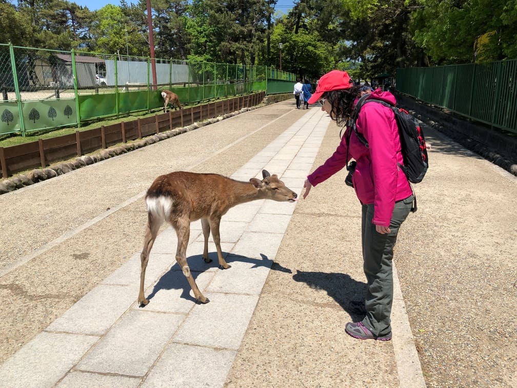 En Nara