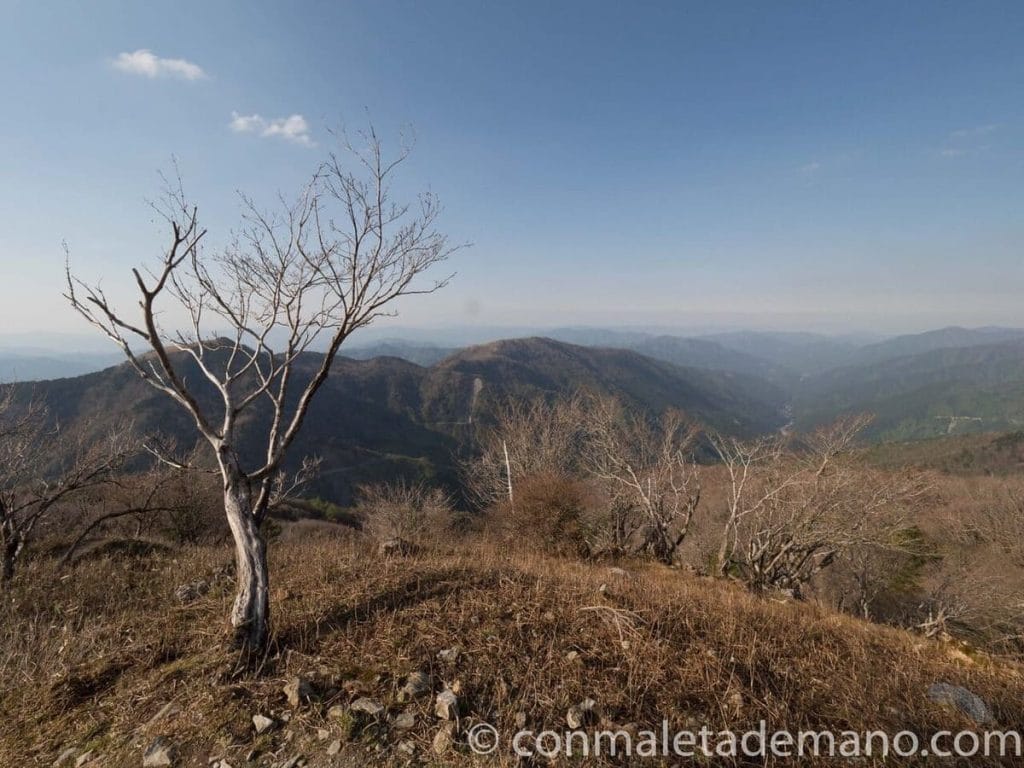 Paisaje subiendo al Monte Tsurugi, Valle de Iya