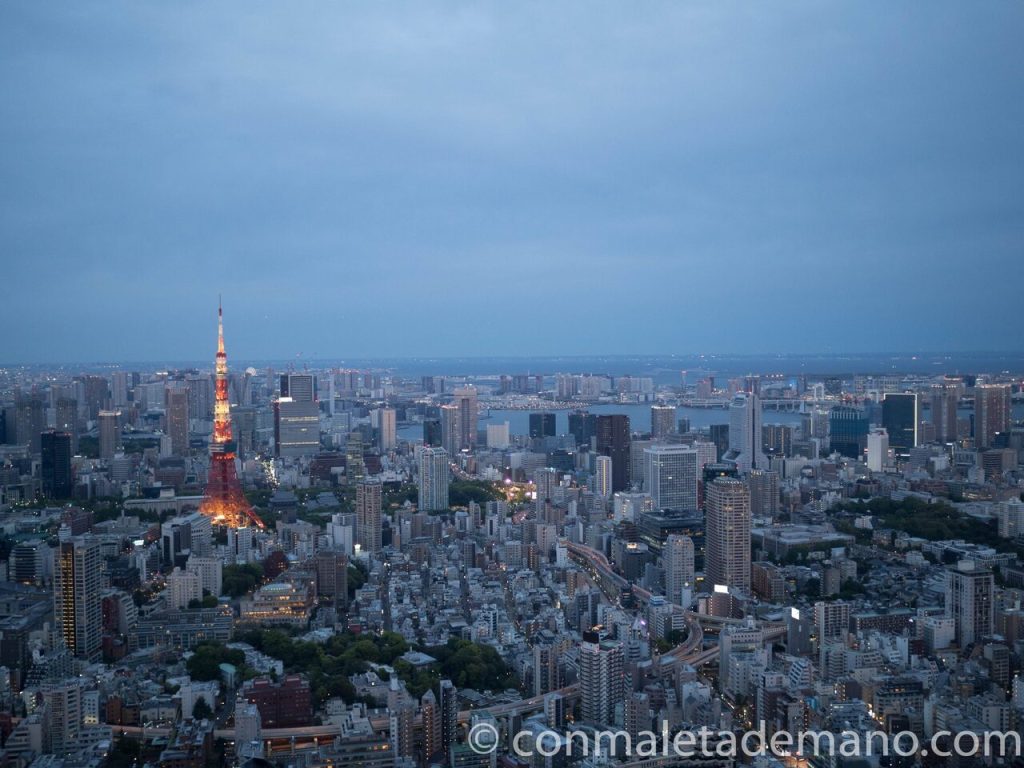 Día 2: Templo Zozoji, Harajuku, Shibuya, la Torre Mori y Akibahara