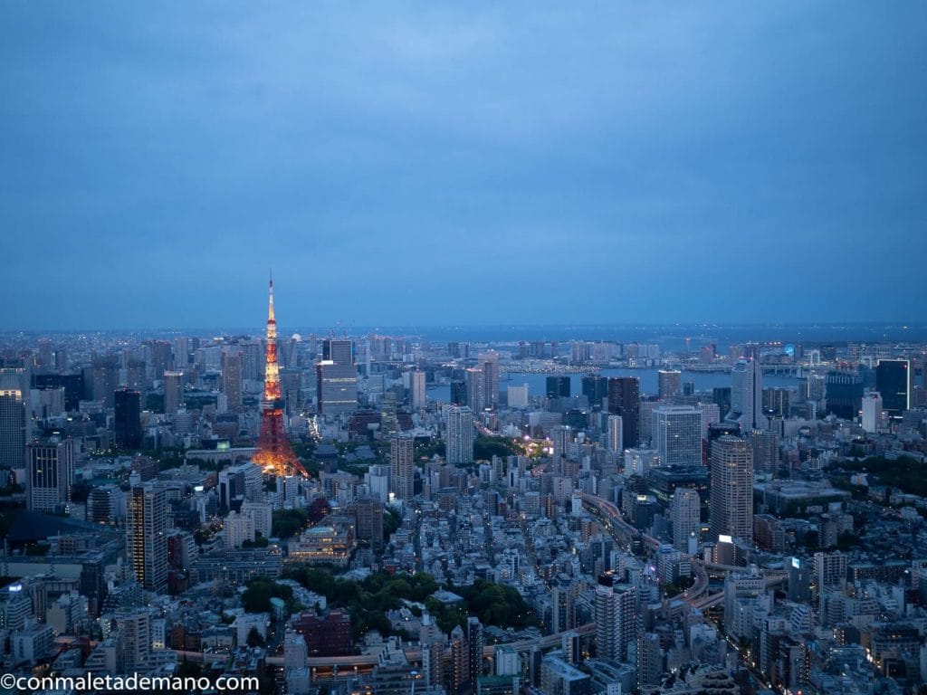 Tokio desde el Sky Deck de la Torre Mori