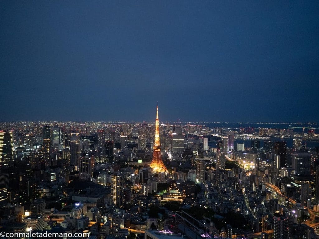 Ya de noche, desde el Sky Deck de la Torre Mori