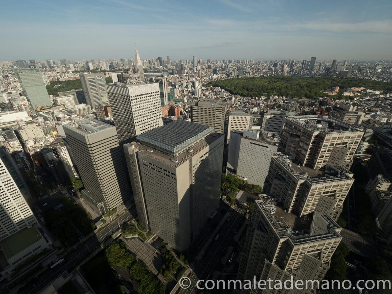 Vistas desde el Observatorio del Ayuntamiento de Tokyo