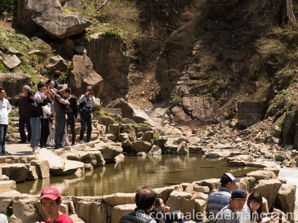 Onsen de Jigokudani, lleno de turistas