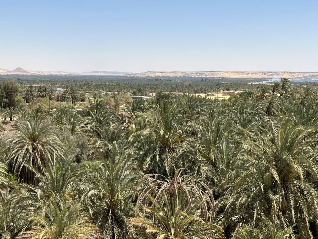 Oasis de Bahariya