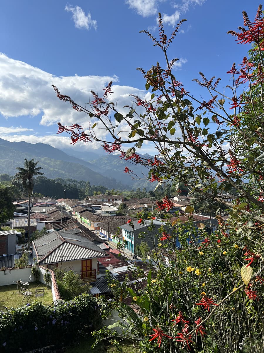 Hotel Terrazas de Salento | en el Eje Cafetero - Con Maleta de Mano