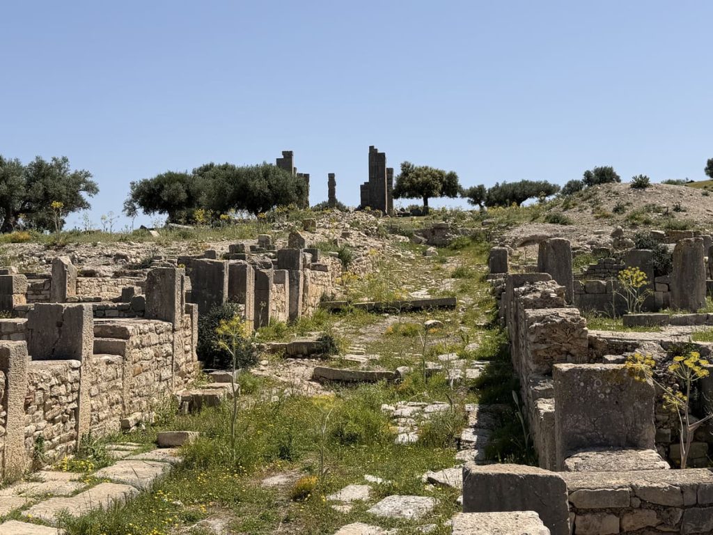 Ciudad romana de Ain Tounga, Túnez