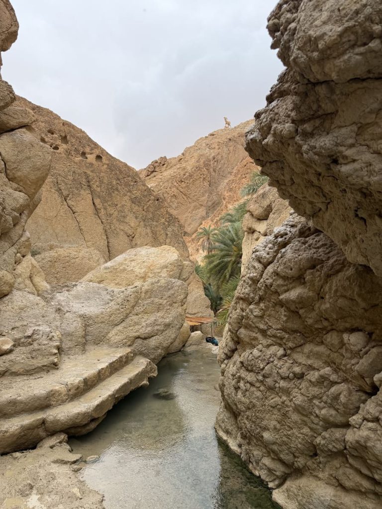 Camino hacia la Cascada de Chebika, Túnez