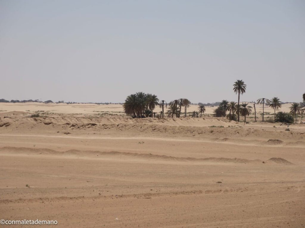 El Desierto del Sáhara, en Douz
