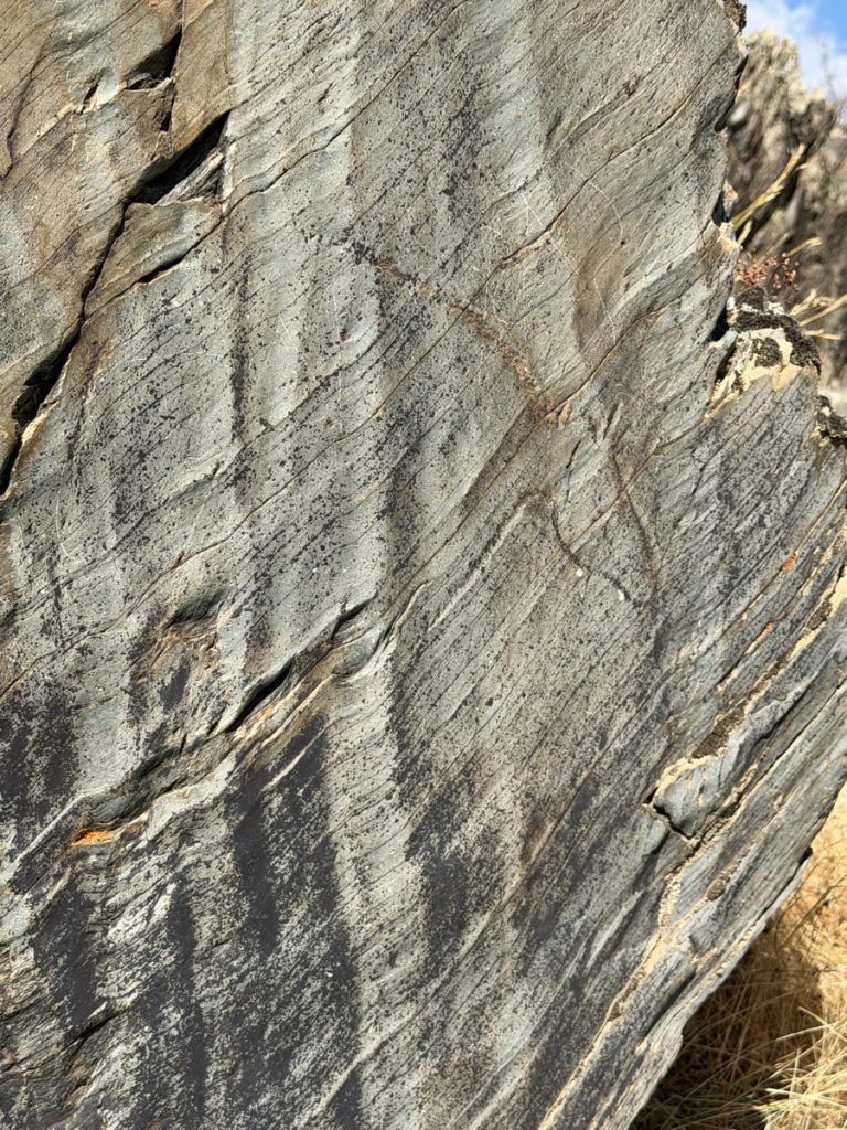 Arte rupestre en el Yacimiento de Siega Verde