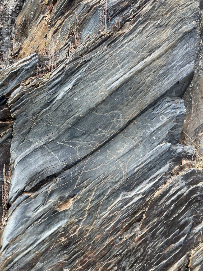 Arte rupestre en el Yacimiento de Siega Verde